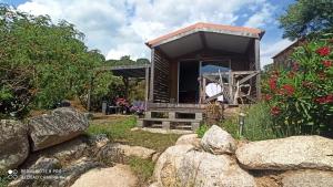 Campings Petit chalet : photos des chambres