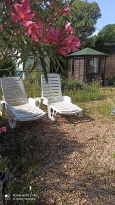 Campings Petit chalet : photos des chambres