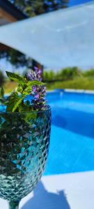 Tweet Apartments with Sauna and optional Breakfast Close To Terme Sveti Martin
