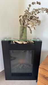 Piso Cruise Experience