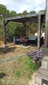 Campings Petit chalet : photos des chambres