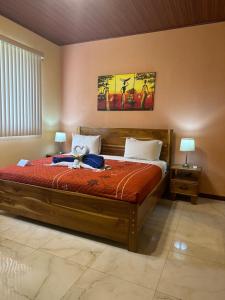 Jacamar Corcovado Drake Bay