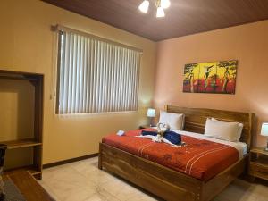 Jacamar Corcovado Drake Bay