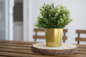 La Lajita Barca Beach Sea