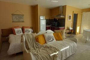 Appartements Studio privatif : photos des chambres
