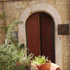 Ritrovo dellacqua - Straculatore