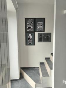 Ritrovo dellacqua - Straculatore