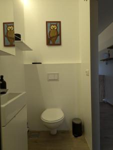 Small cabin in the countryside