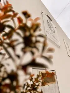 D'Felicidade - Tornada