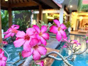 Villa Dewi Parwati - Private Villa with Pool - North Bali - private cook