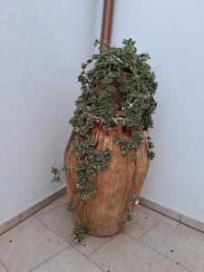 casa vacanze Assunta