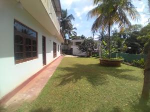 Paradise Galle