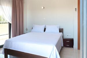 Metaxenias apartment 201