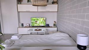 Cozy Boho small apartment