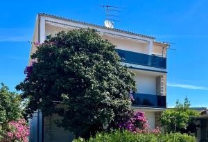 Golden Dream Apartment