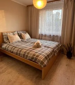 Pokój Zavodzie - Kattowice-Ost