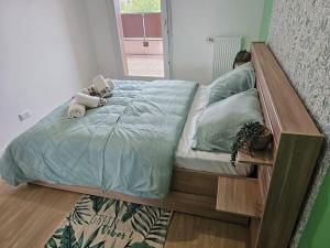 Appartements grand appartement 2 pieces en residence : photos des chambres