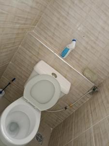 Biancaisbae properties