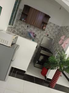 Biancaisbae properties