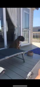 Whitstable Pearl - Alberta Holiday Park