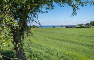 Amazing Home In Nordborg With Wifi