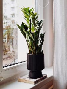 Apartament Gdynia Starowiejska