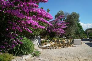TRULLO MATTEO VILLA DE LUXE avec PISCINE