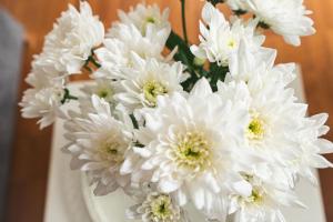 Traumwohnung im Kölner Süden