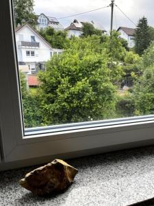 An der Lauter und der Donau