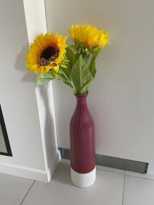 Logement cosy à 15 mn de la gare saint Lazare et 30 mn de laéroport Charles de Gaulles