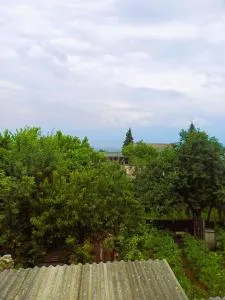 Guest house Matsantsara - Zemo Khodasheni