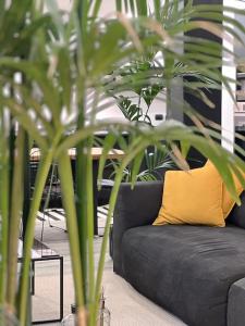 Civico 8 Apartment img10