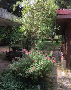Haus Anneliese