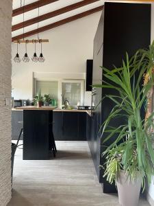House Femini 