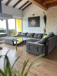 House Femini 
