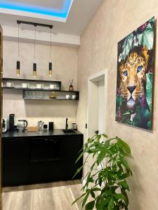 Aura Apartment und Spa Oberhausen