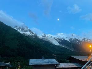 Appartements Les 2 Chamois - Duplex a Chamonix : photos des chambres