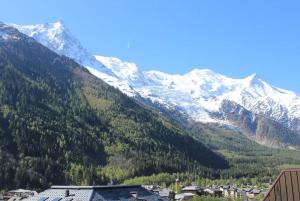 Les 2 Chamois - Duplex à Chamonix