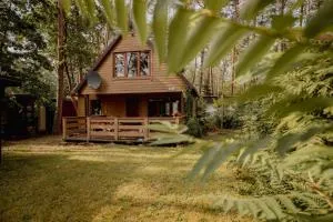 Domek Ptasie Radio - 奥斯特罗达