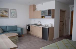 Cozy apartment located near to Paupys