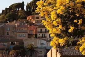 Hotels Hostellerie du Cigalou - Les Collectionneurs : photos des chambres