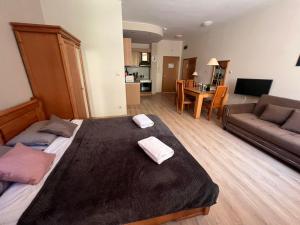 Garden of Eden - Studio