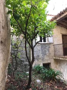 Maisons de vacances Le Baguier, maison de caractere dans hameau typique provencal : photos des chambres