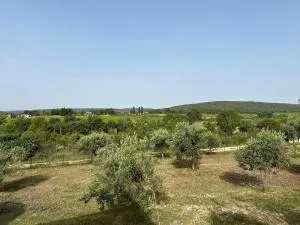 Gîte des cerisiers - Brue-Auriac