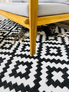 apartments ZORA Trogir