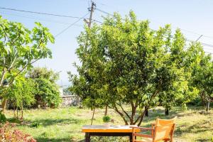 Color Villa - South Paradise 2