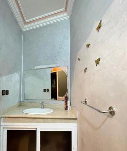 شقق للكرا اليومي