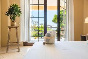 Color Villa - South Paradise 6