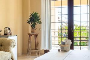 Color Villa - South Paradise 6