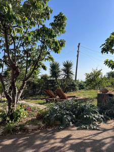 Color Villa - South Paradise 7